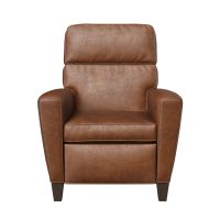 15437 Deluxe Recliner - front view